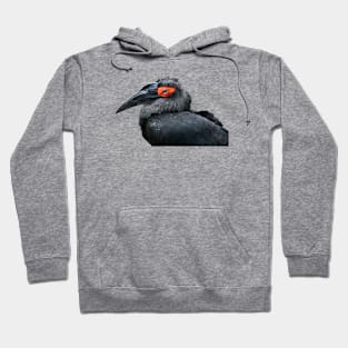 Black Bird Hoodie